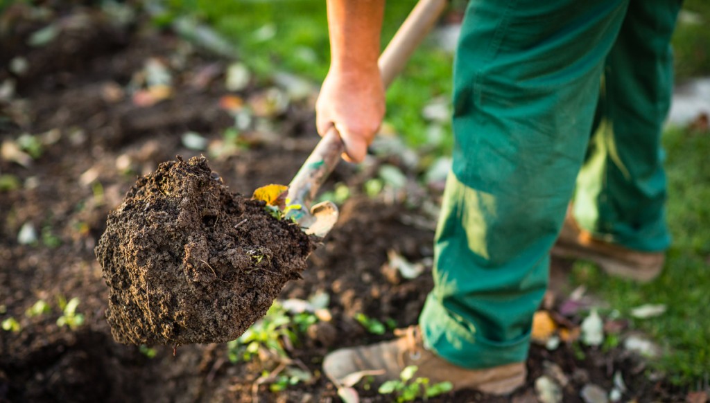 landscaping soil